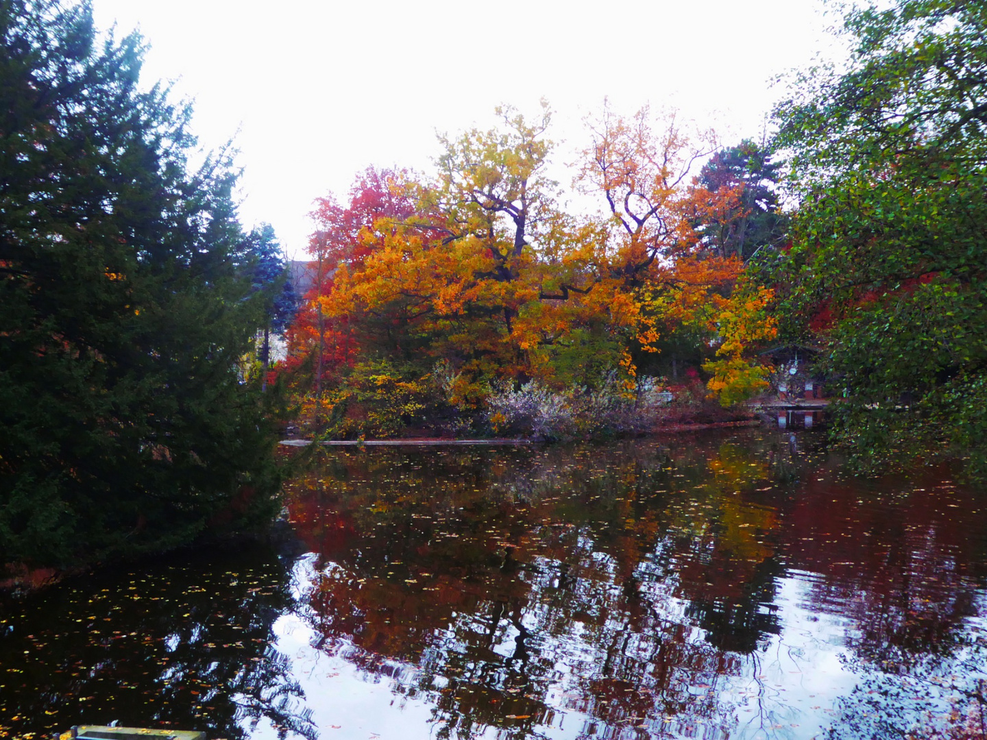 bunte Bäume spiegelnd im See