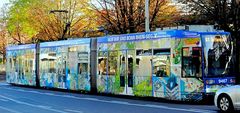 Bunte Bahn im Bonner Herbst