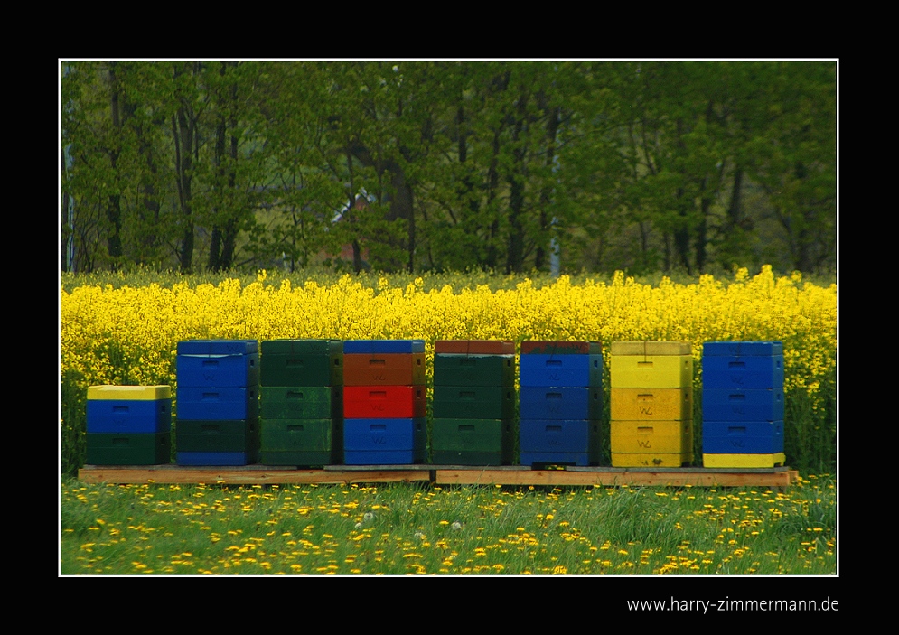 Bunte Behausung