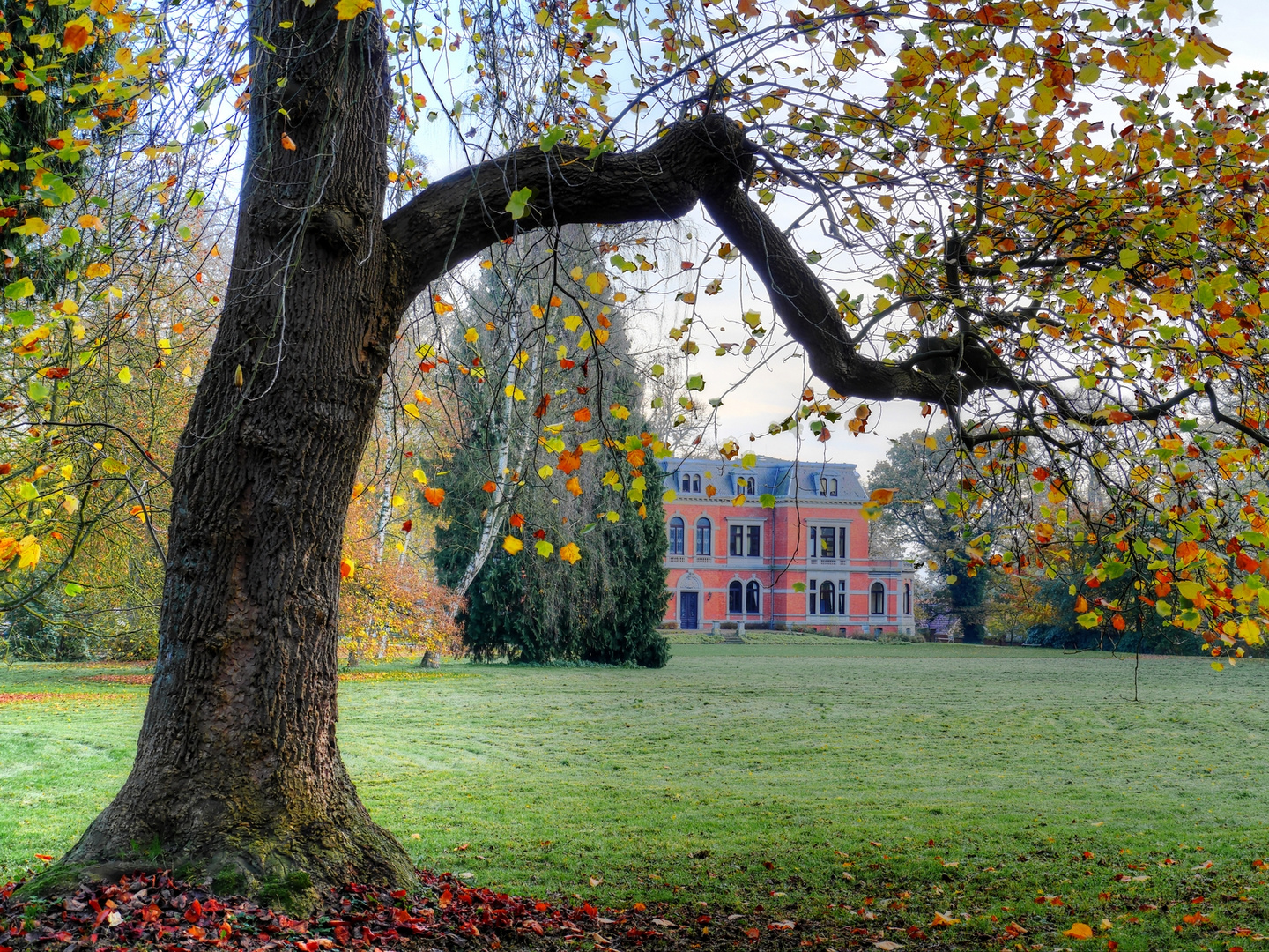 Bunte Blätter im Schlosspark