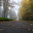 Bunte Blätter, Nebel, Nieselregen und Einsamkeit an der Möhnetalsperre