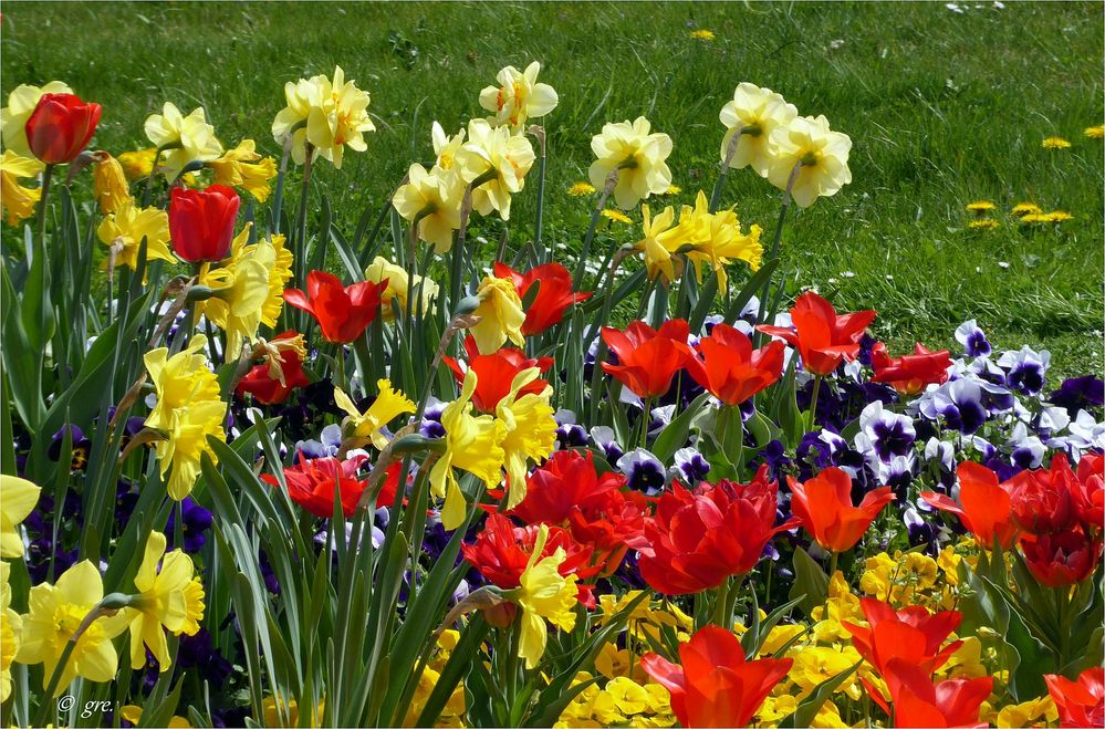 Bunte Blütenpracht Foto & Bild park, frühling, blumen Bilder auf