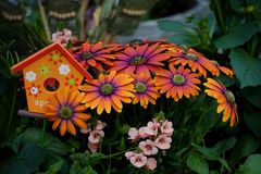 bunte Blumen im Garten