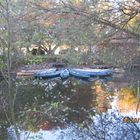 BUNTE BOOTE DER HERBSTLICHEN SEHNSUCHT