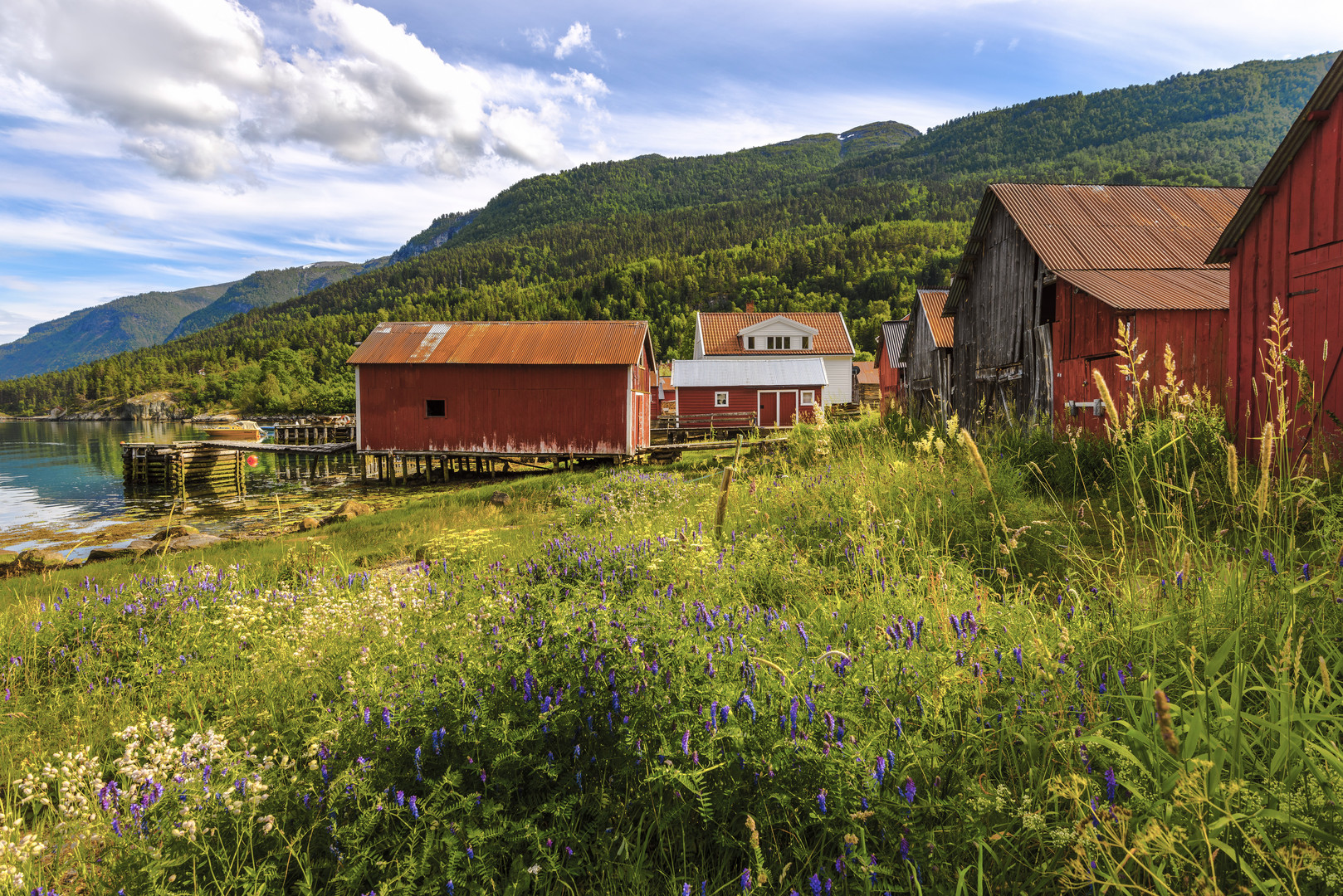 Bunte Bootshäuser am Fjord