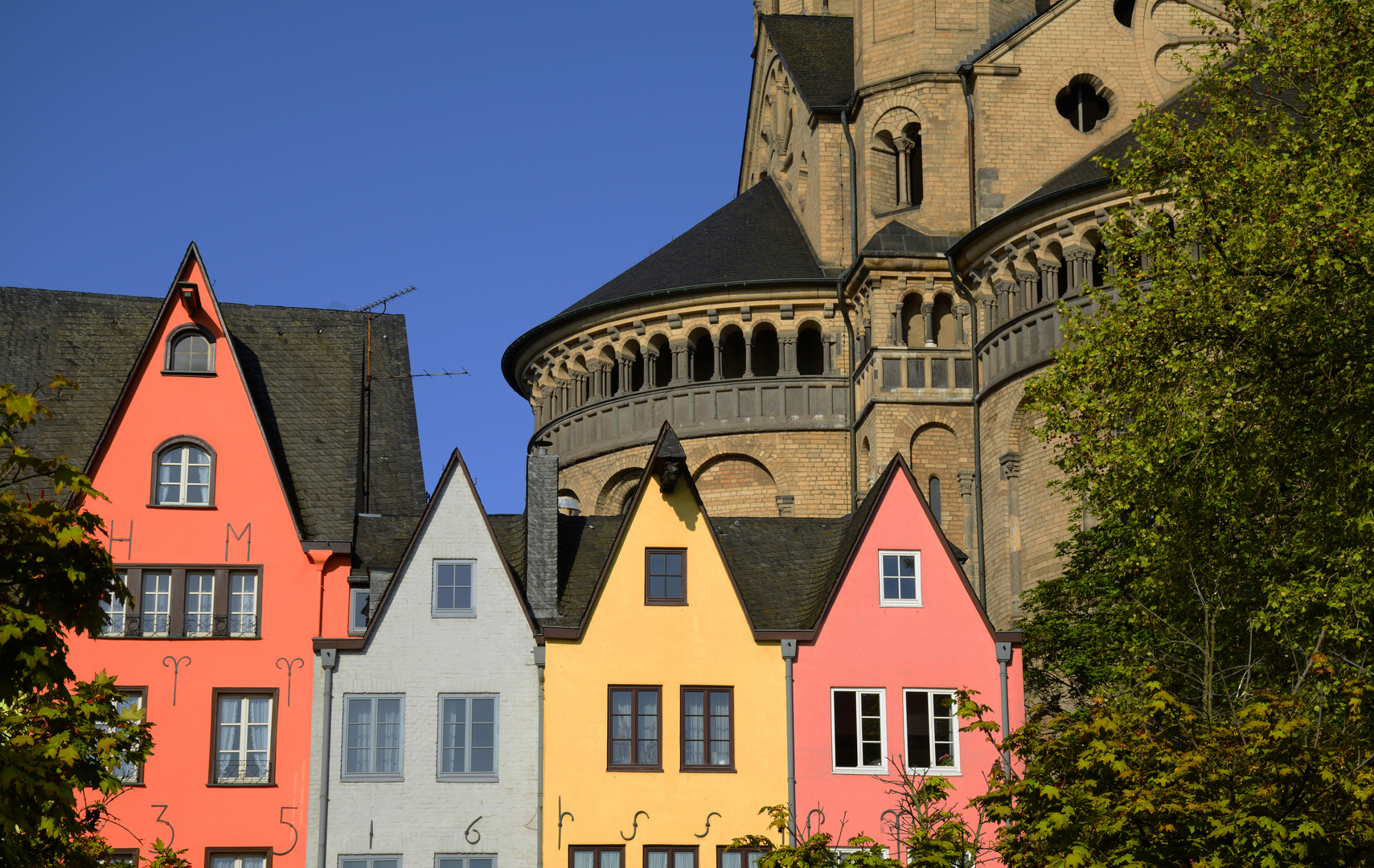 bunte Bürgerhäuser vor romanischer Kirche Groß Sankt Martin in Köln