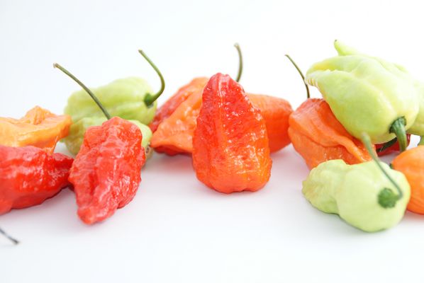 bunte Chilivielfalt