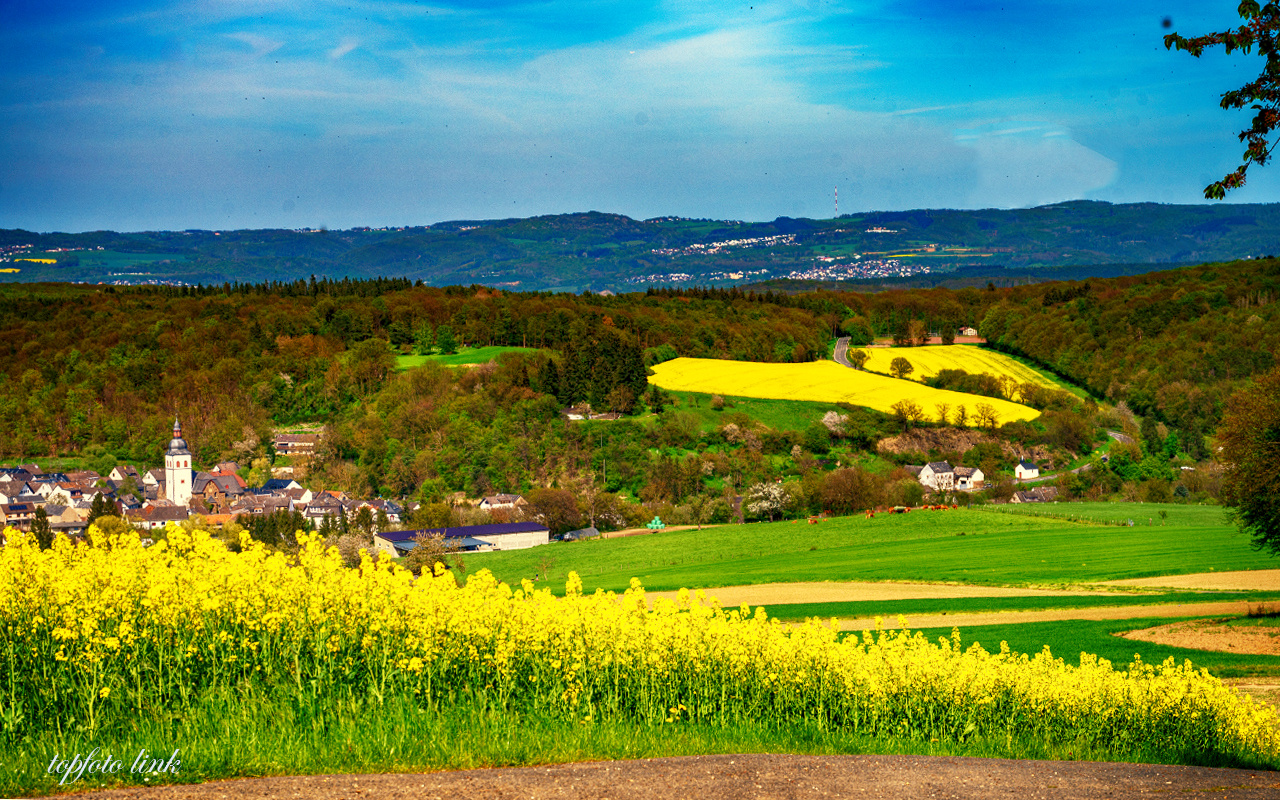 bunte Eifel