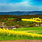 bunte Eifel