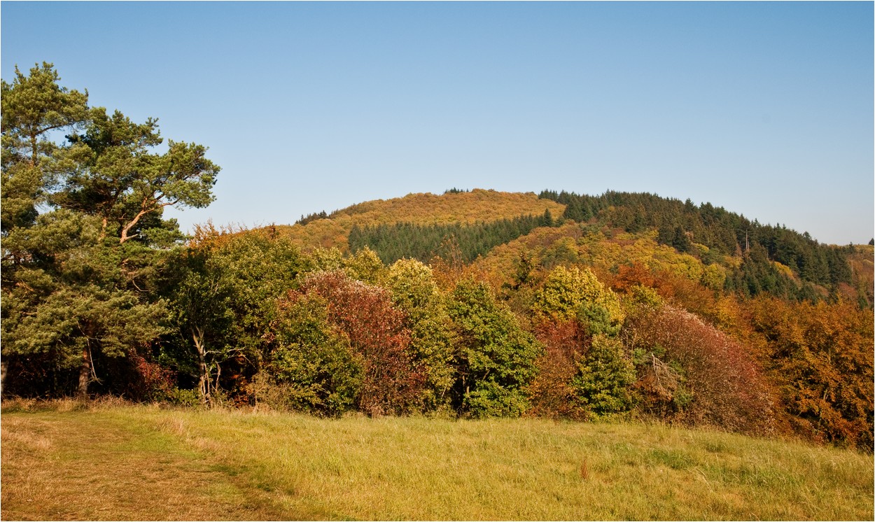 Bunte Eifel ...