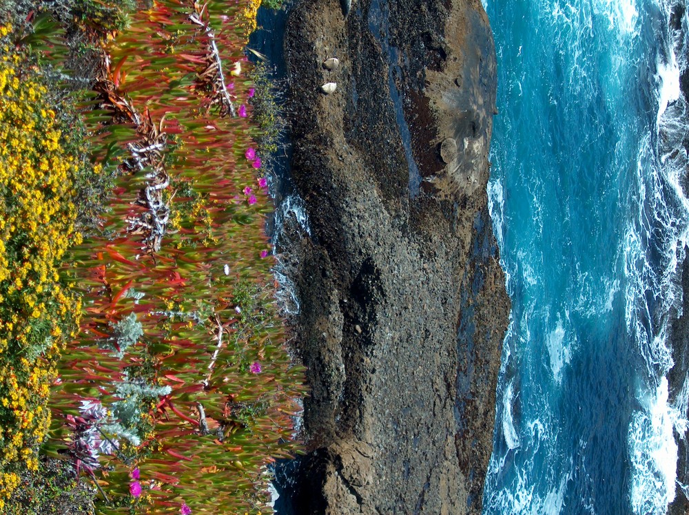 Bunte Farben am Meer