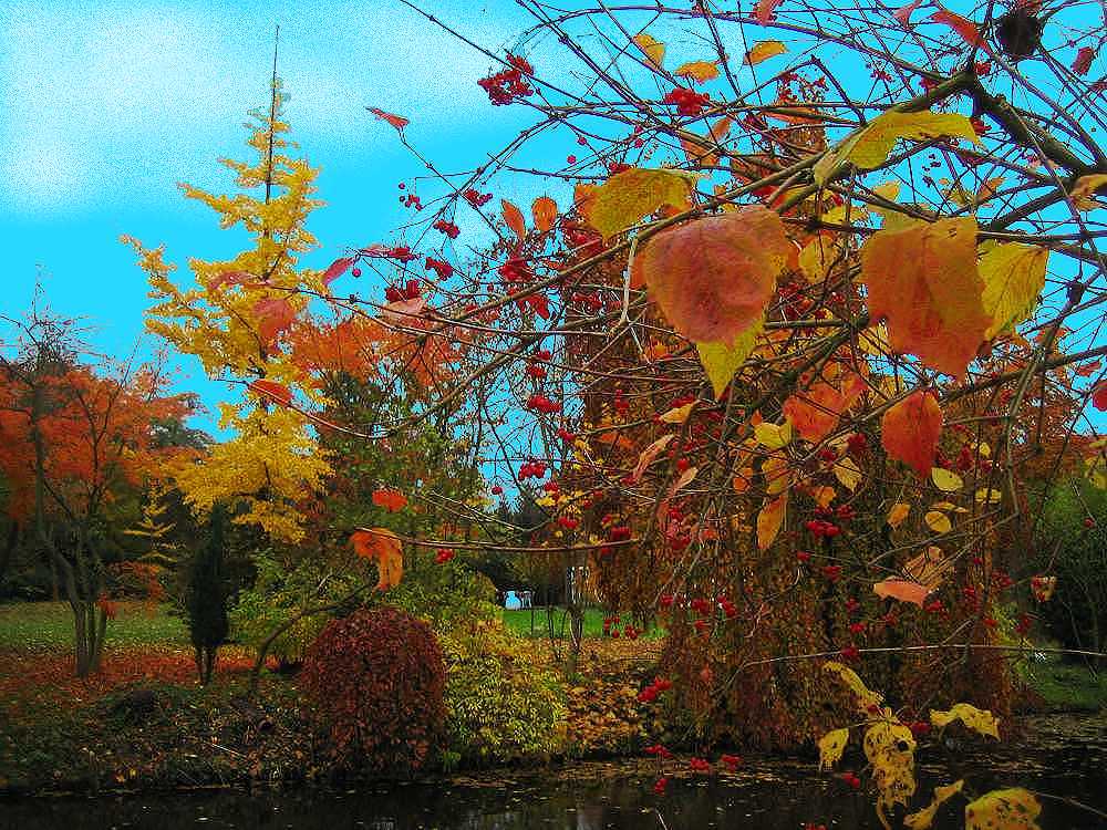bunte Farben zum Herbst