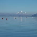 bunte Farbkleckse am Wasser