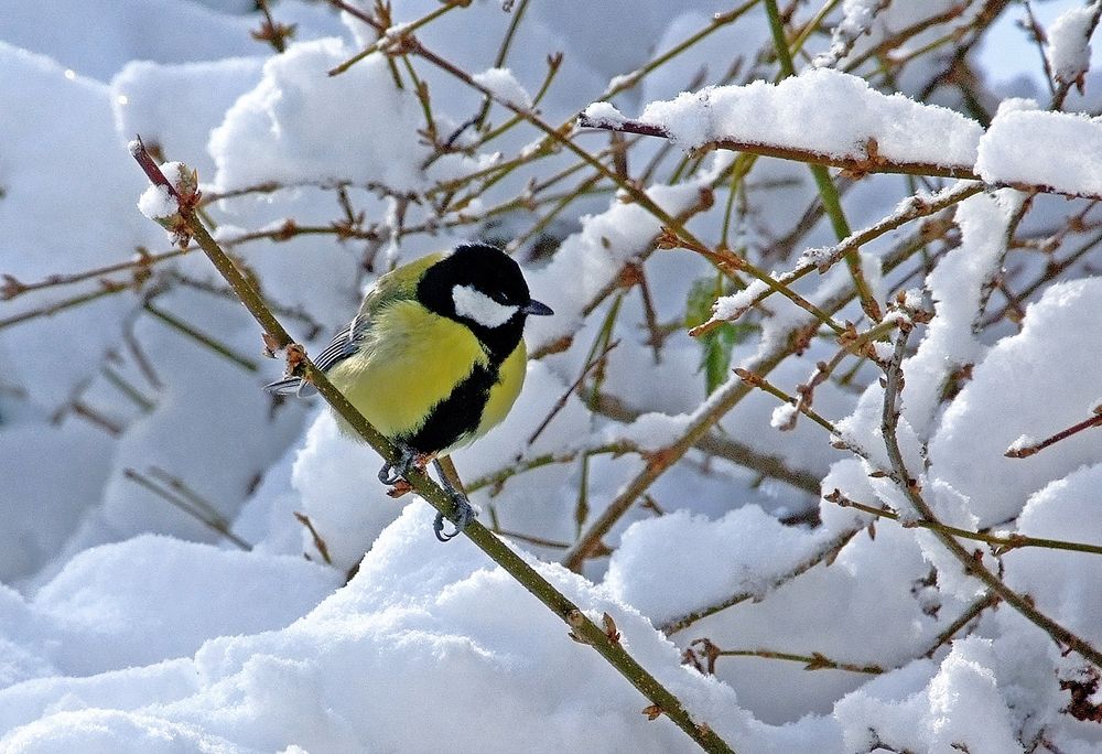 Bunte Farbtupfer ...