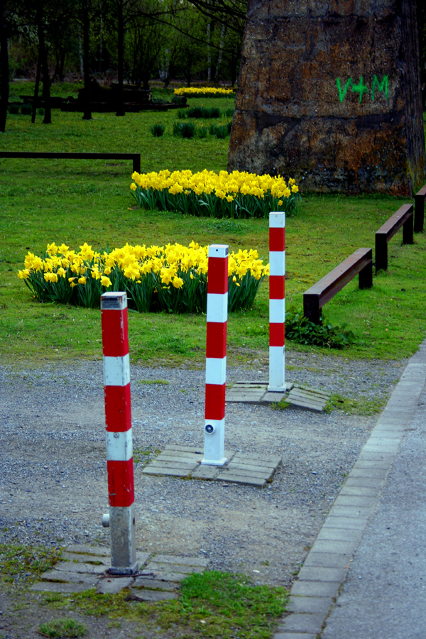 Bunte Frühlingsfarben...