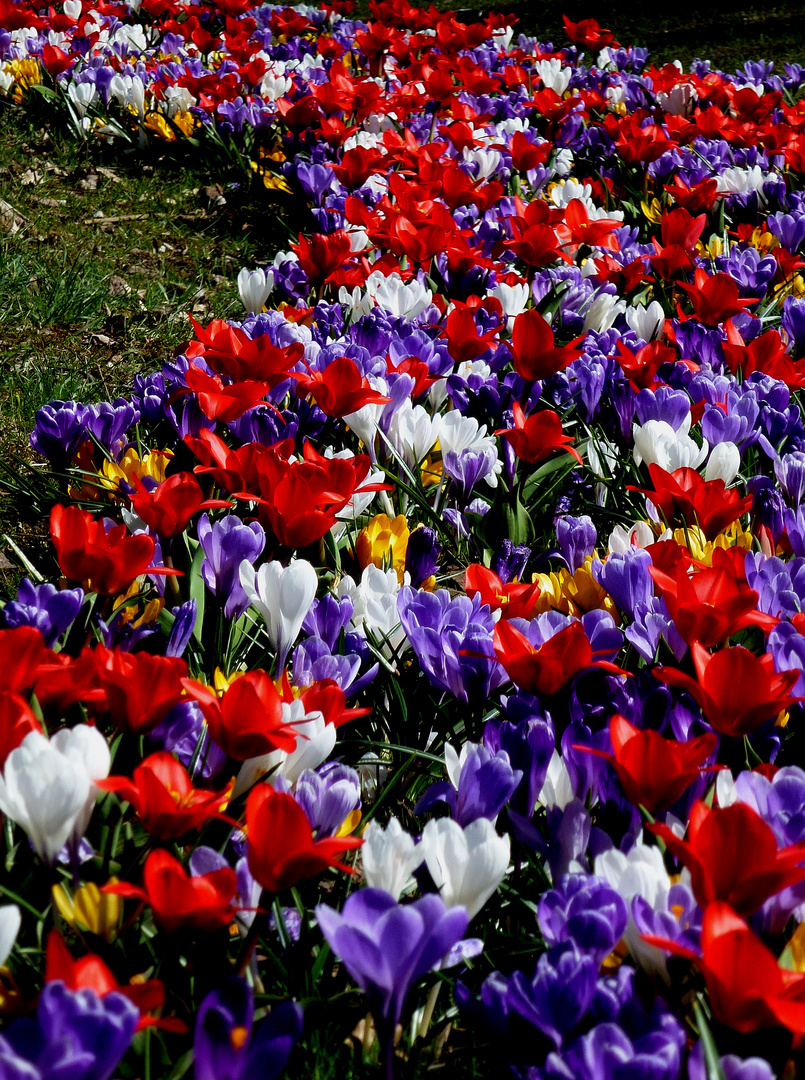 Bunte Frühlingsgrüße.............