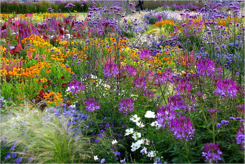 Bunte Gärten 1 Foto & Bild landschaft, garten