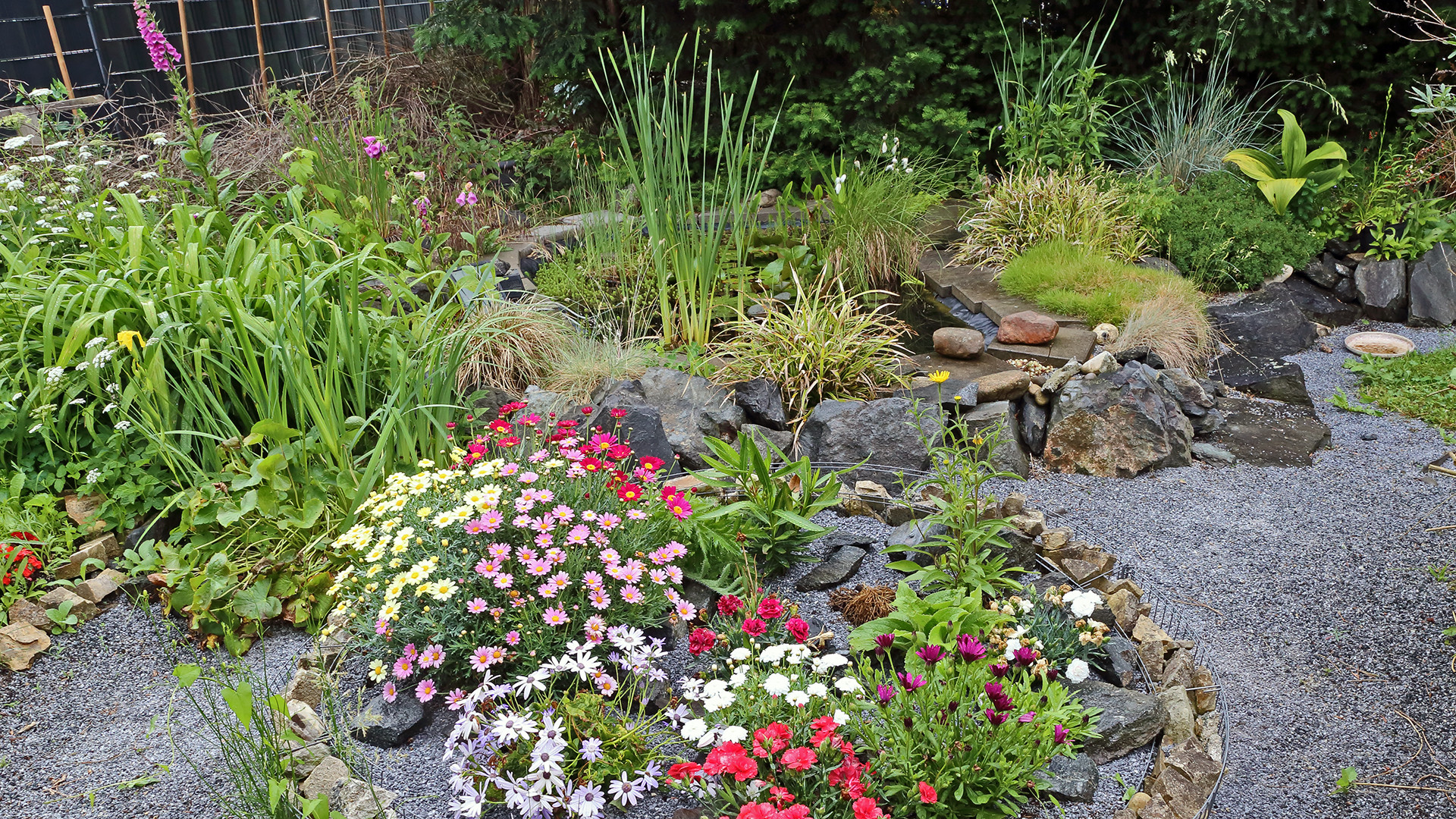 Bunte Gartenecke mit Sumpfbeet, Hochbeet und Gartenteich