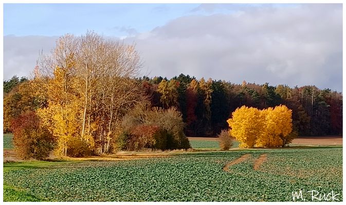 Bunte Herbst Landschaft !