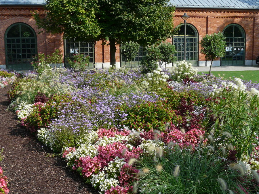 Bunte Herbstblumen