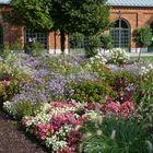 Bunte Herbstblumen