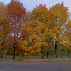 Bunte Herbstfarben.