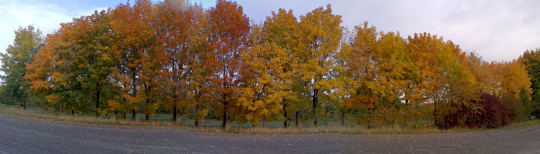 Bunte Herbstfarben.