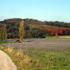 bunte Herbstlandschaft