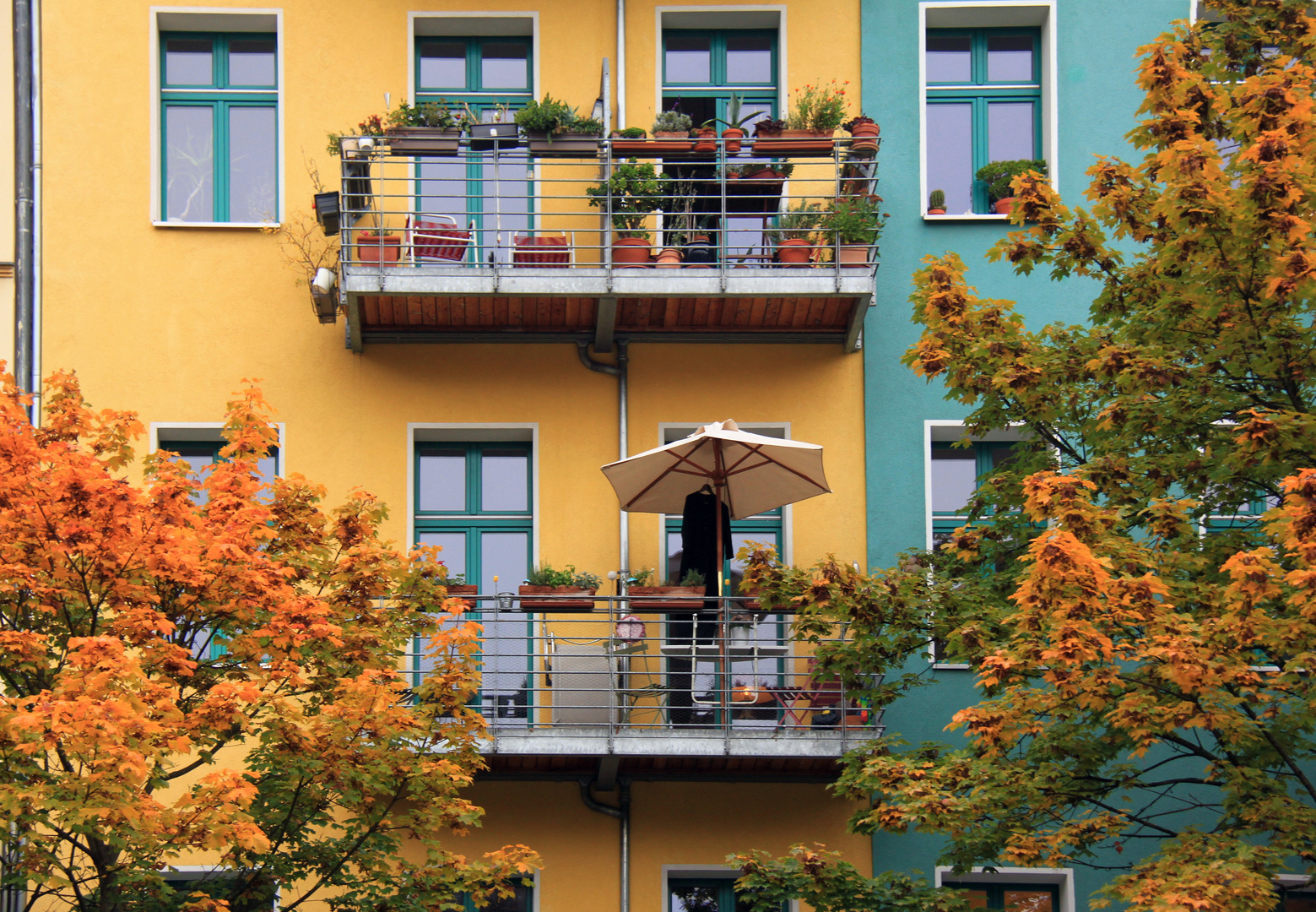 Bunte Herbstmischung