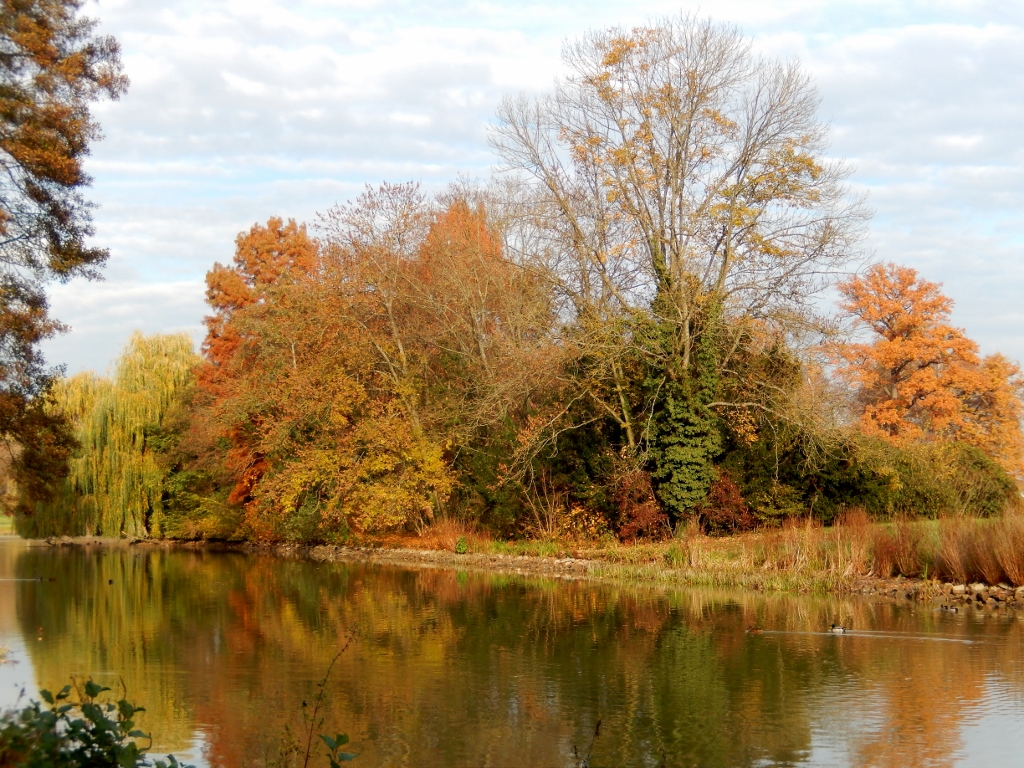 Bunte Herbststimmung im Schönbusch