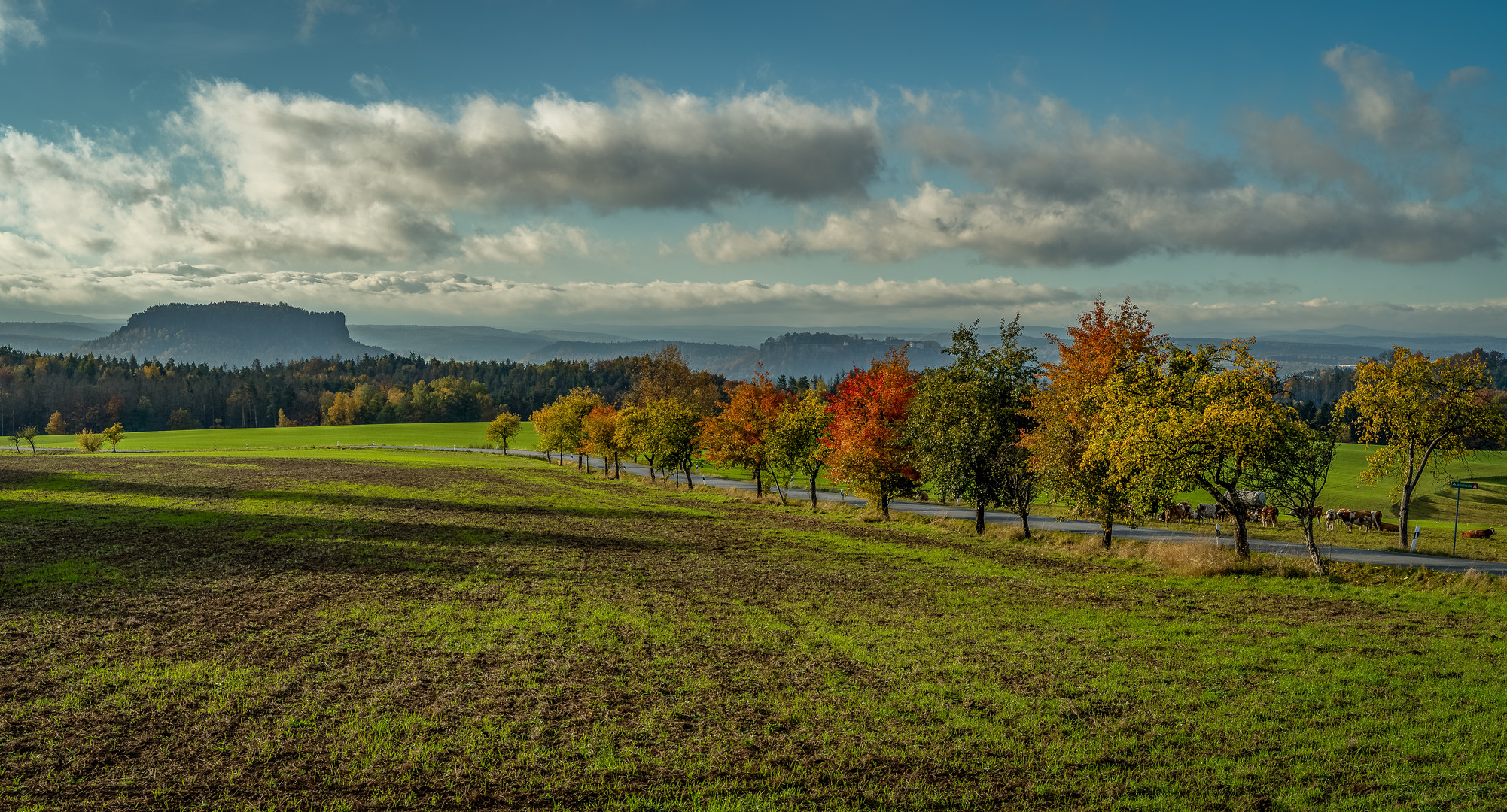 Bunte Herbststrasse zum Lilienstein, Sächsische Schweiz