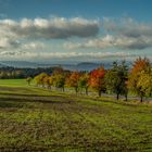 Bunte Herbststrasse zum Lilienstein, Sächsische Schweiz