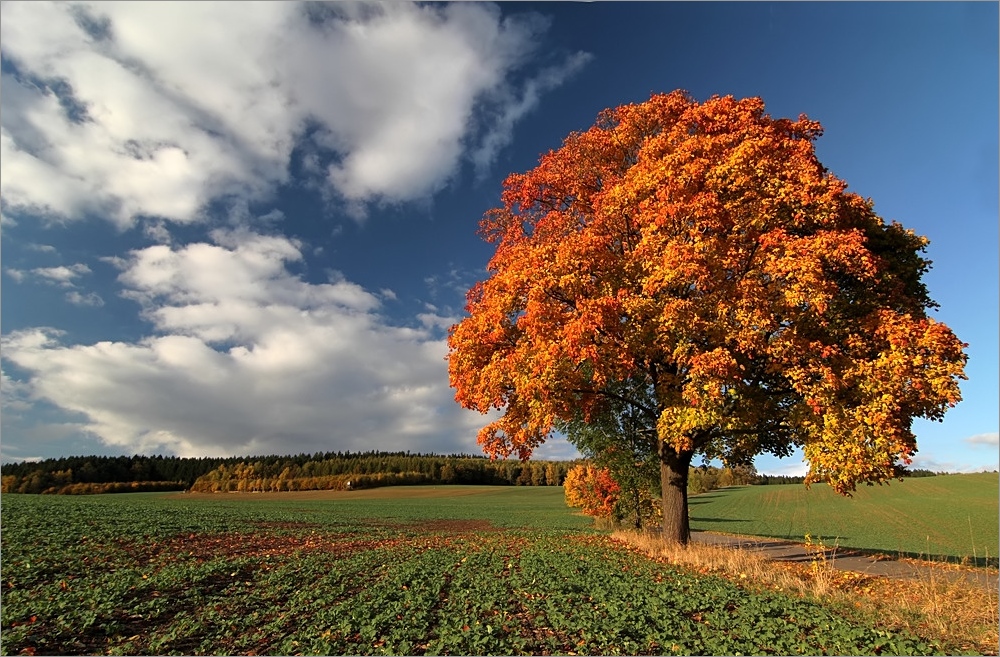 Bunte Herbsttage