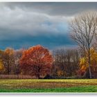 Bunte Herbsttage