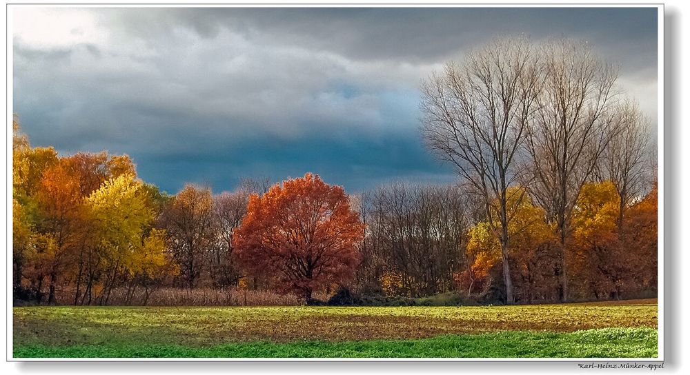 Bunte Herbsttage