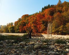 Bunte Herbstzeit