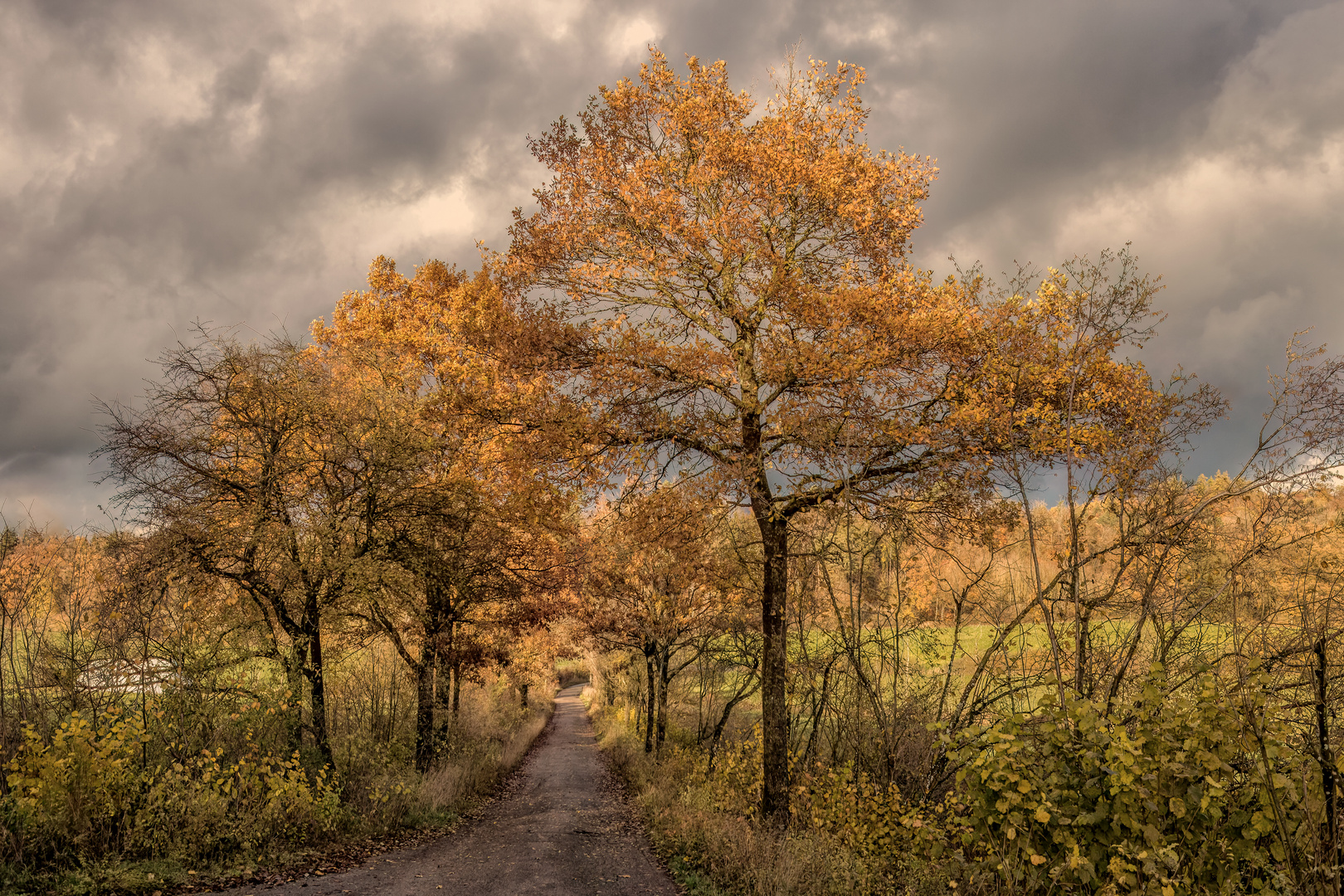 Bunte Herbstzeit