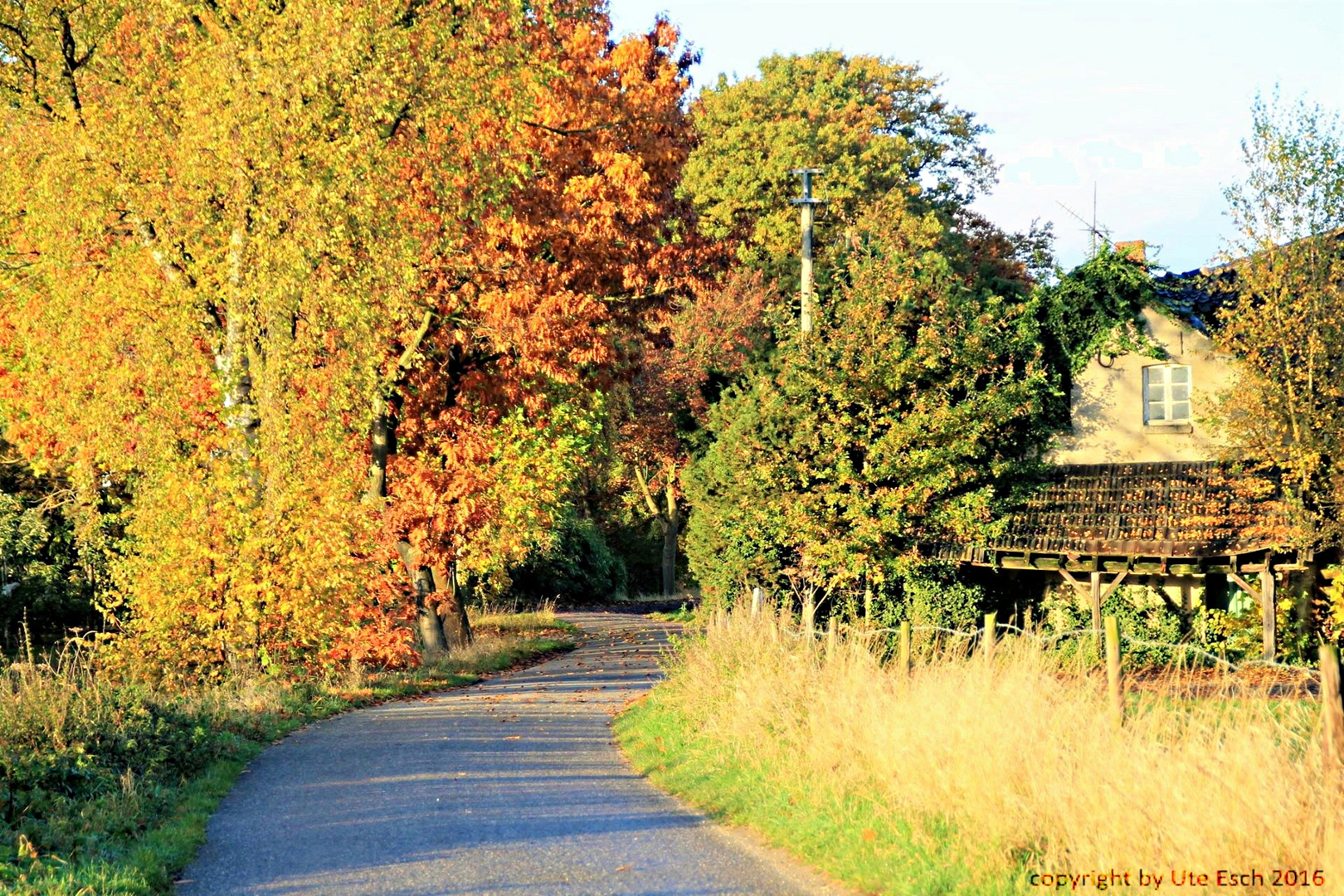 Bunte Huverheide