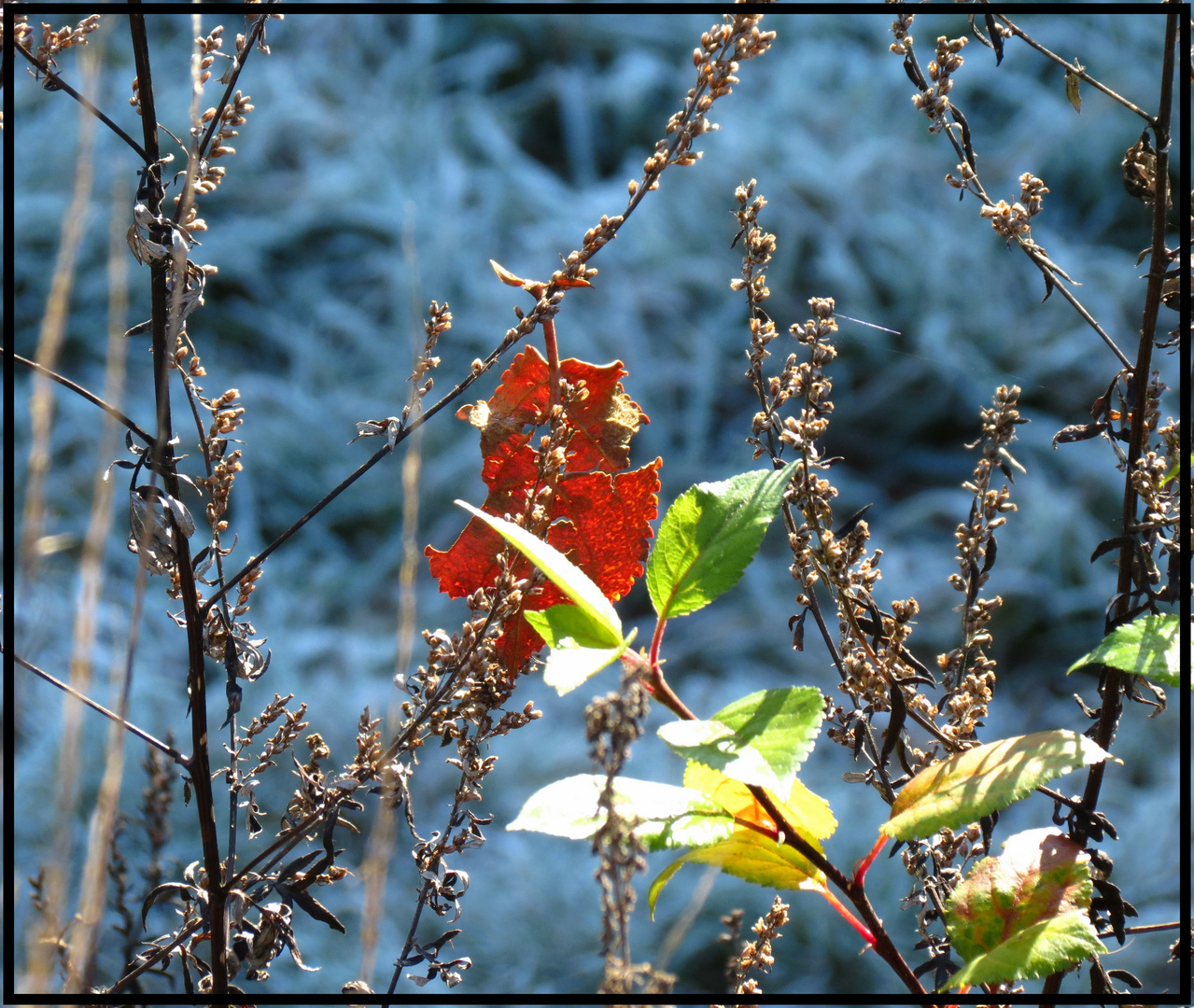 Bunte Impressionen