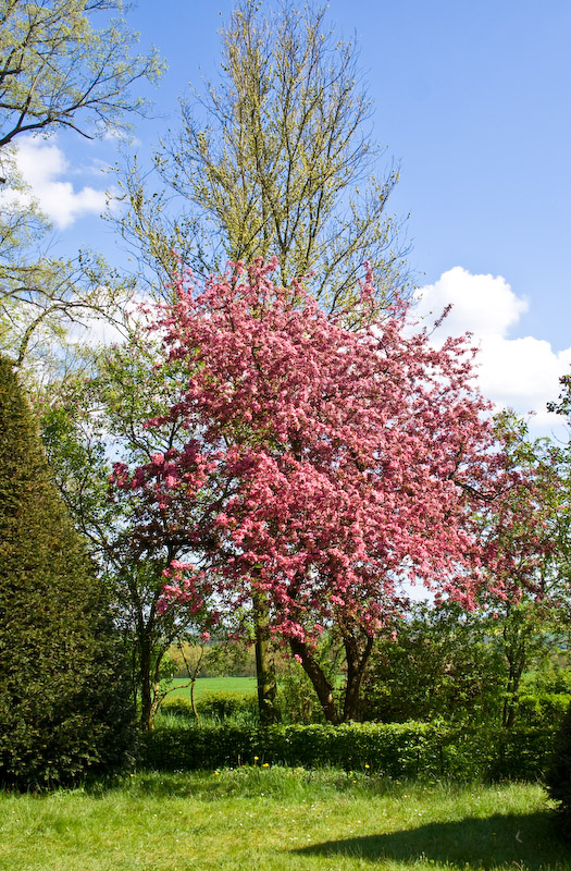 Bunte Landschaft