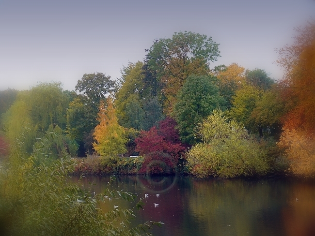 Bunte Landschaft