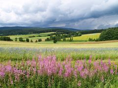 Bunte Landschaft