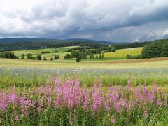 Bunte Landschaft