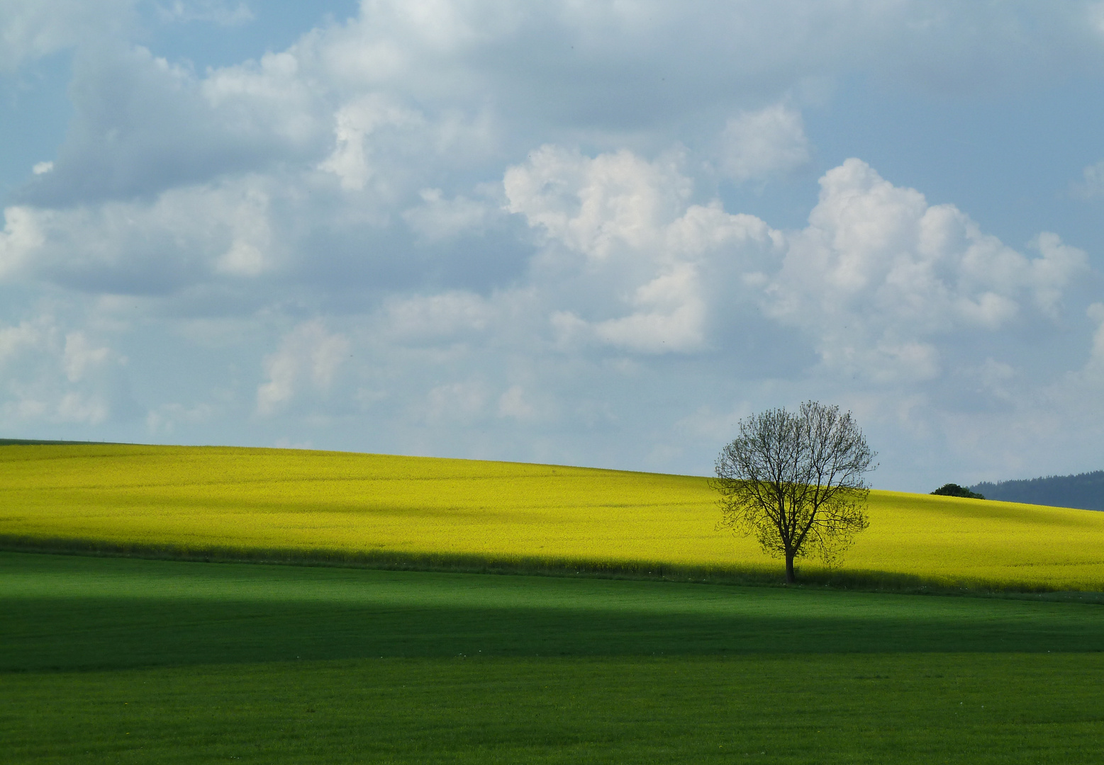 Bunte Landschaft