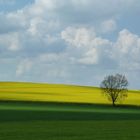 Bunte Landschaft