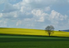 Bunte Landschaft