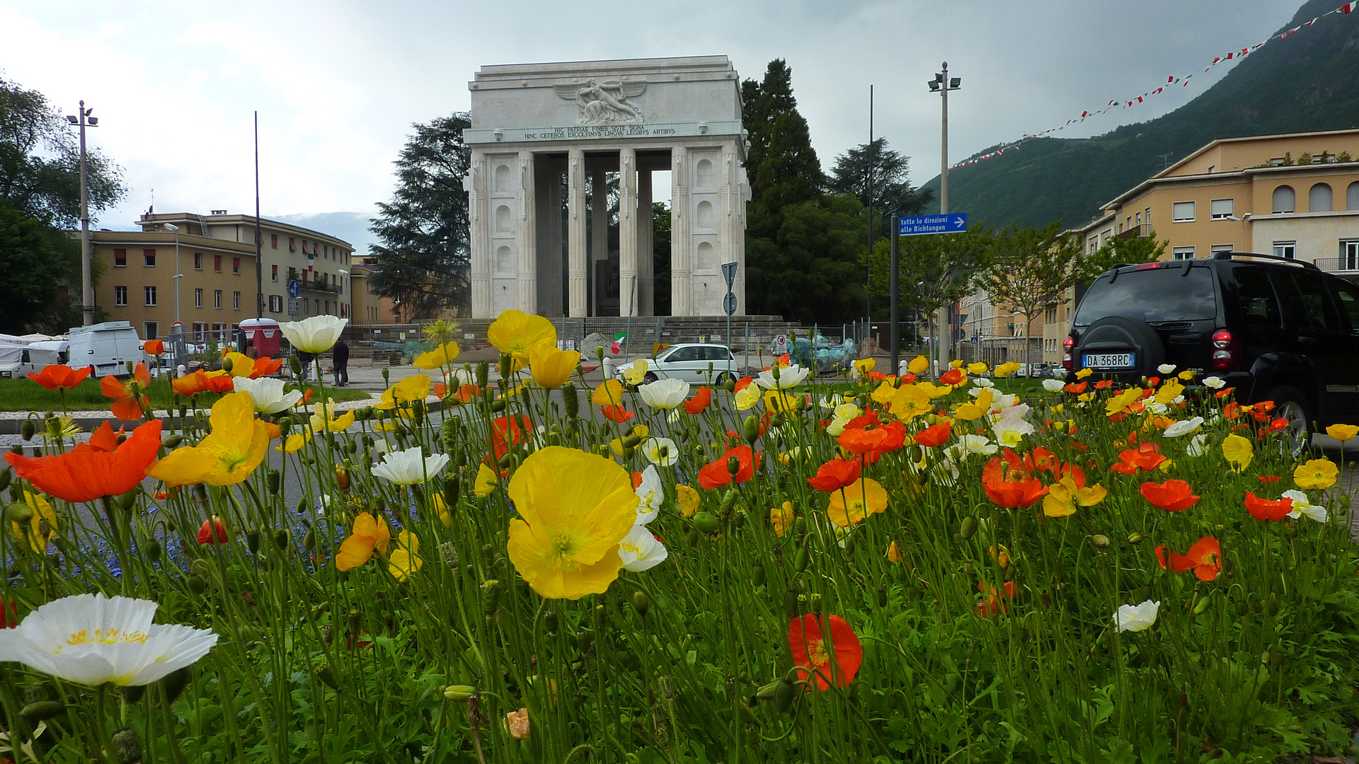 Bunte Mohnblumen in Bozen