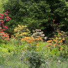 Bunte Pracht im Britzer Garten