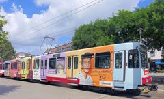 Bunte Rheinbahn