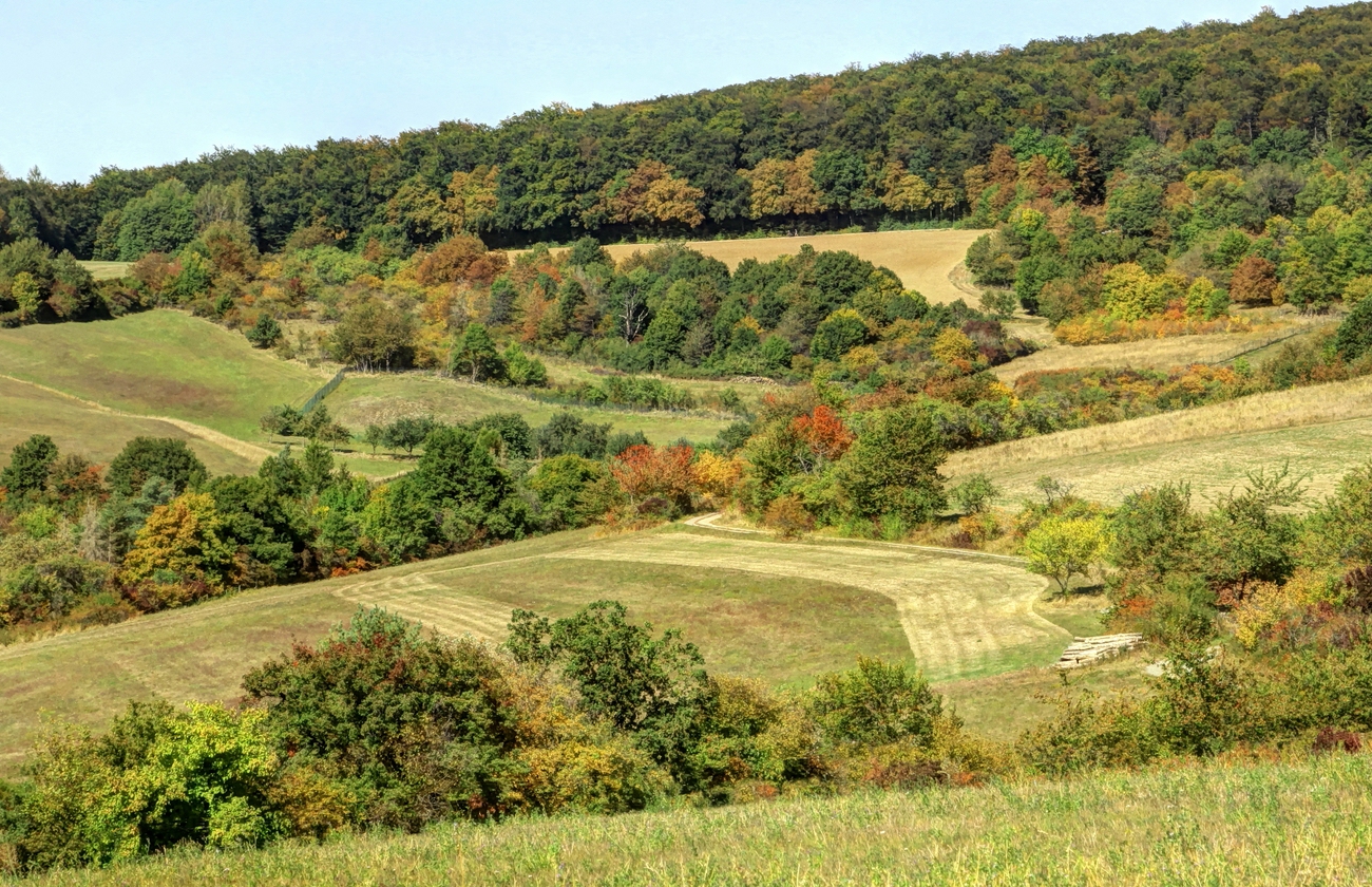 Bunte Rhön!